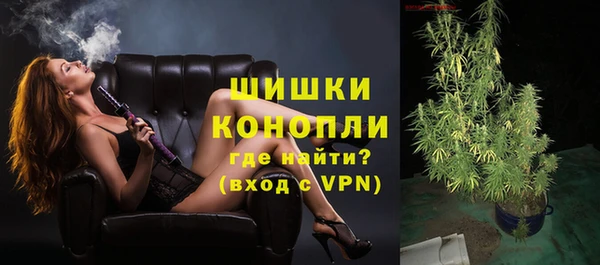 соль ск Няндома