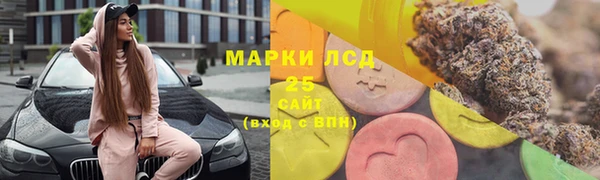 соль ск Няндома
