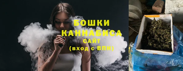 соль ск Няндома