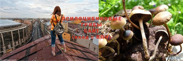 кристаллы Нягань