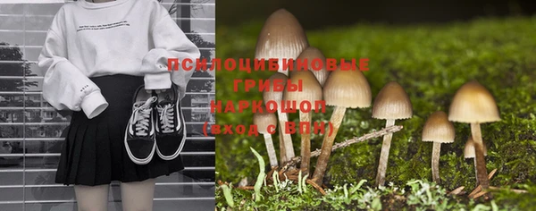 соль ск Няндома
